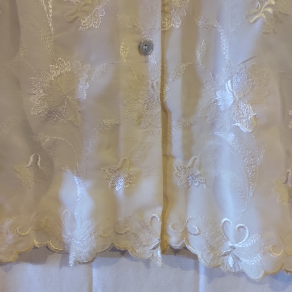 HW New York Women's Cream Sheer Dressy Button Down Blouse Size L - Picture 11 of 12